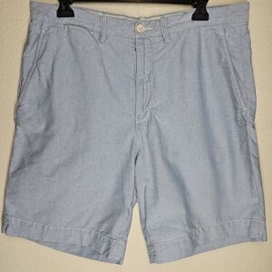 Ralph Lauren Classic Fit Men's Sky-Blue Flat Front Shorts, Size 34